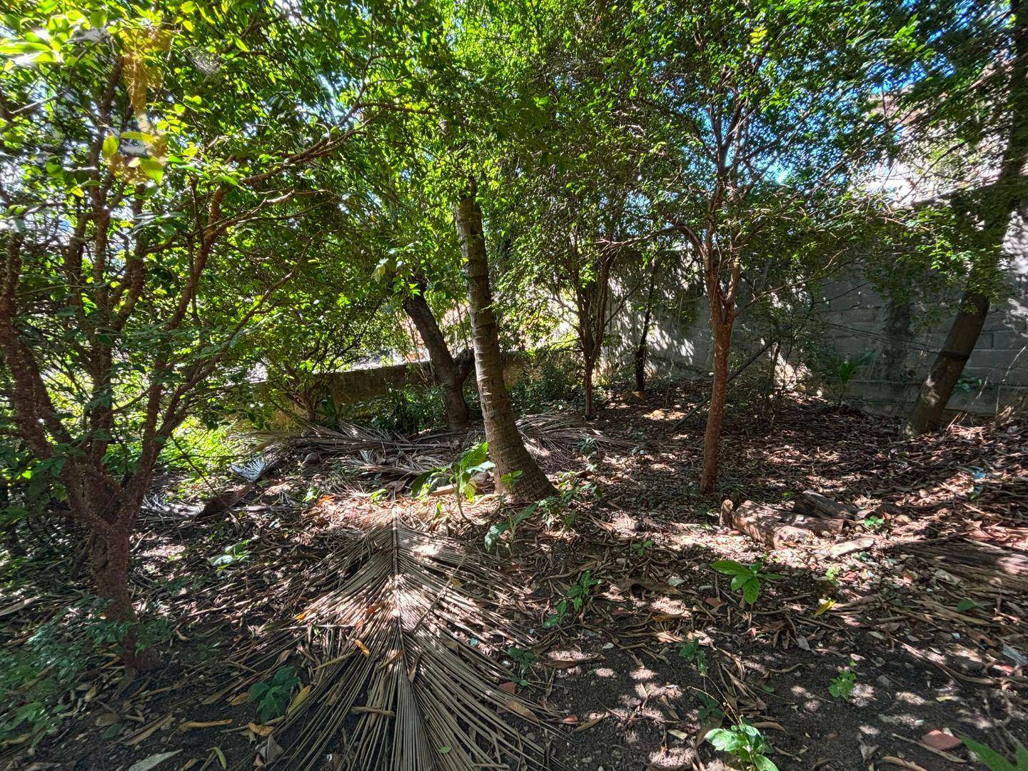Terreno à venda, 375M2 - Foto 18