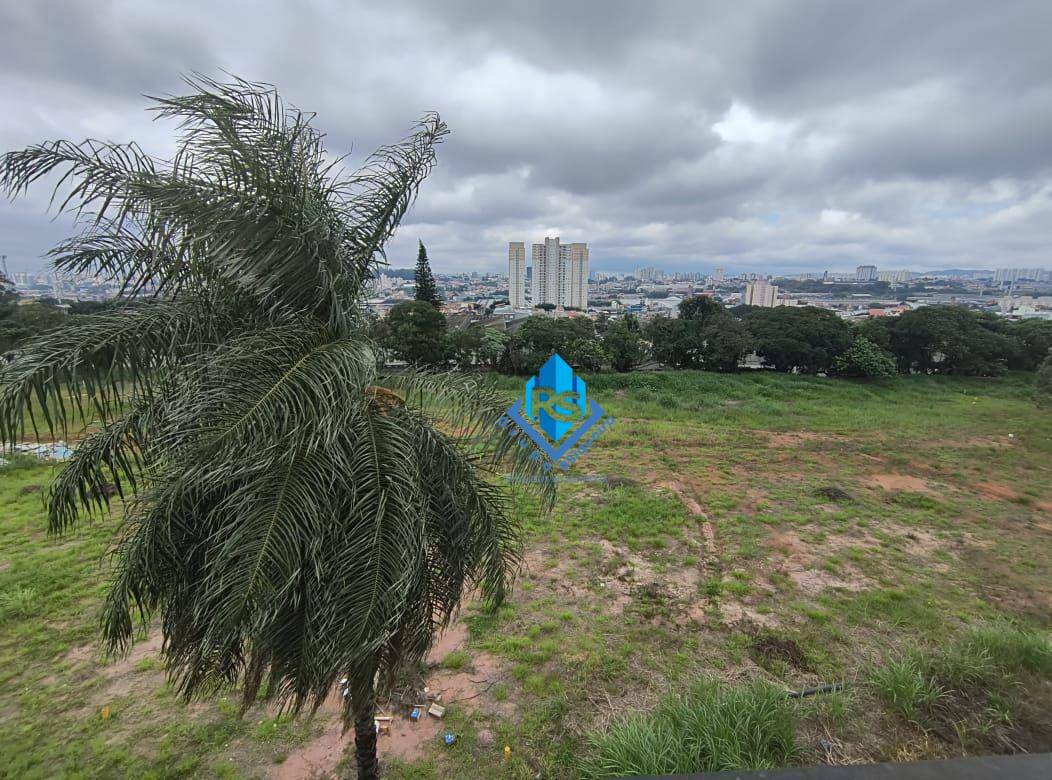 Terreno, 2 hectares - Foto 4