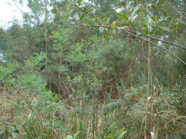 Terreno à venda, 50000M2 - Foto 7