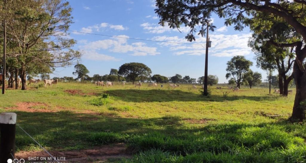 Fazenda à venda, 5566000M2 - Foto 1