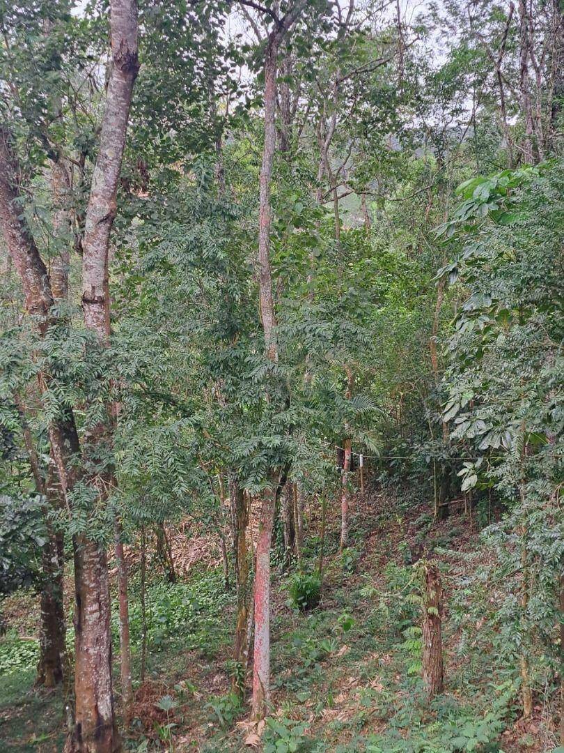 Loteamento e Condomínio à venda, 1030M2 - Foto 8