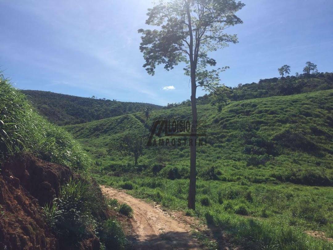 Fazenda à venda, 5469200M2 - Foto 43