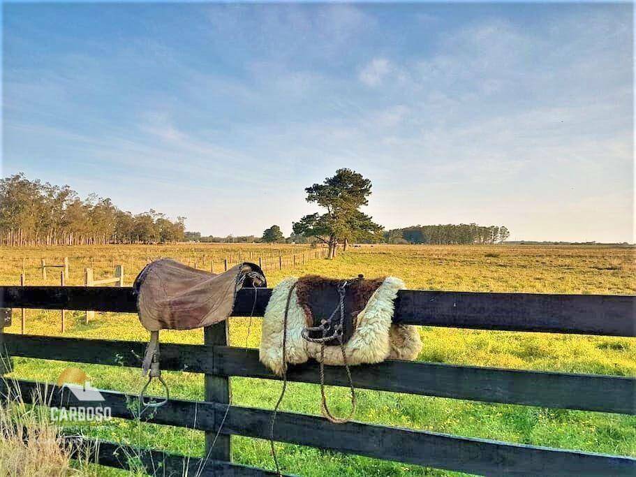 Fazenda à venda, 3160000M2 - Foto 15