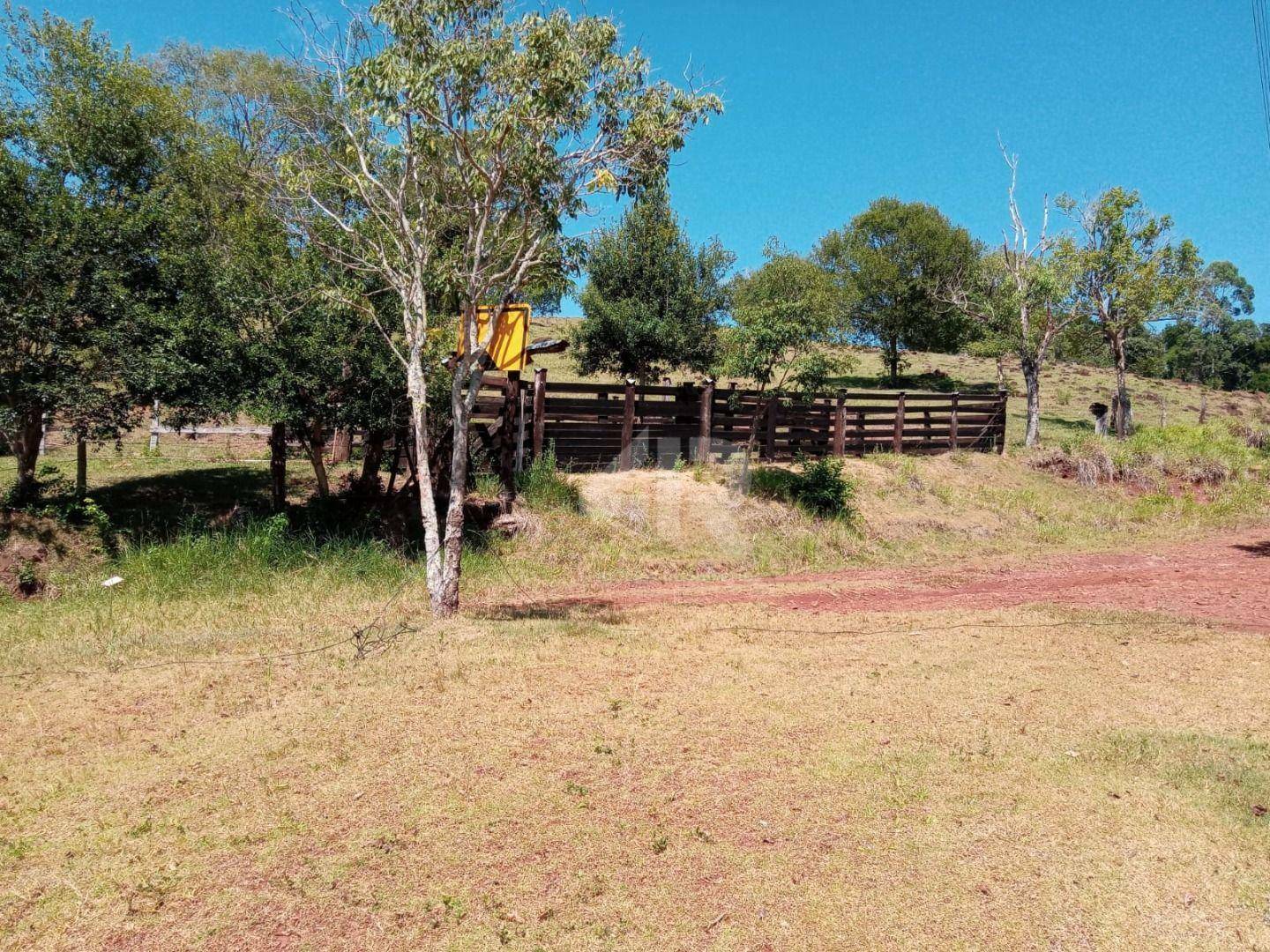 Terreno à venda, 242000M2 - Foto 15