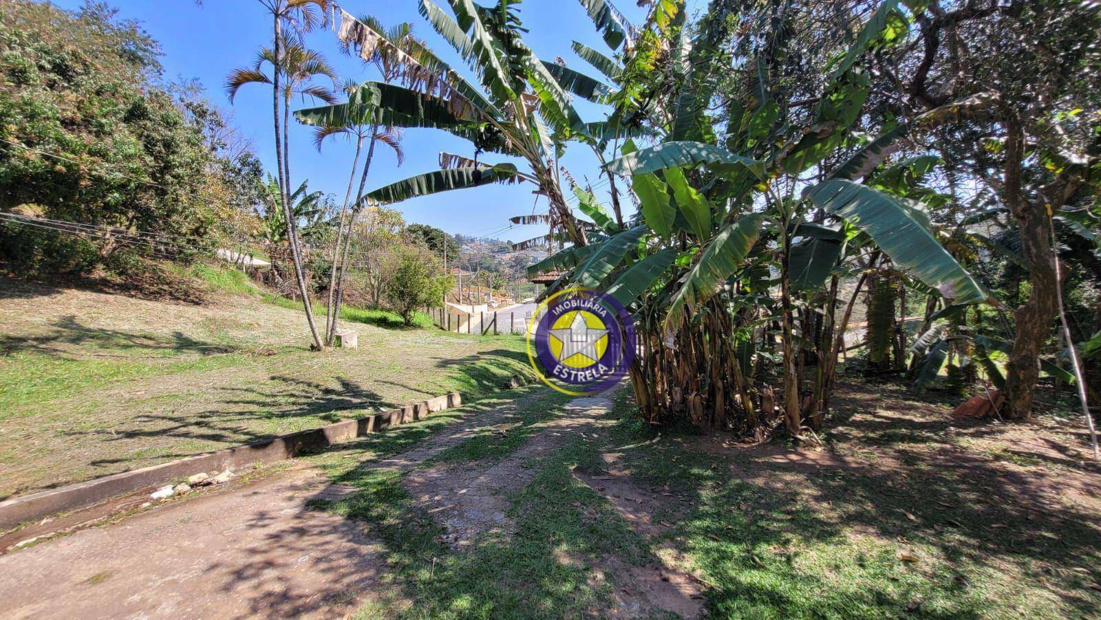 Chácara à venda com 3 quartos, 4800M2 - Foto 2