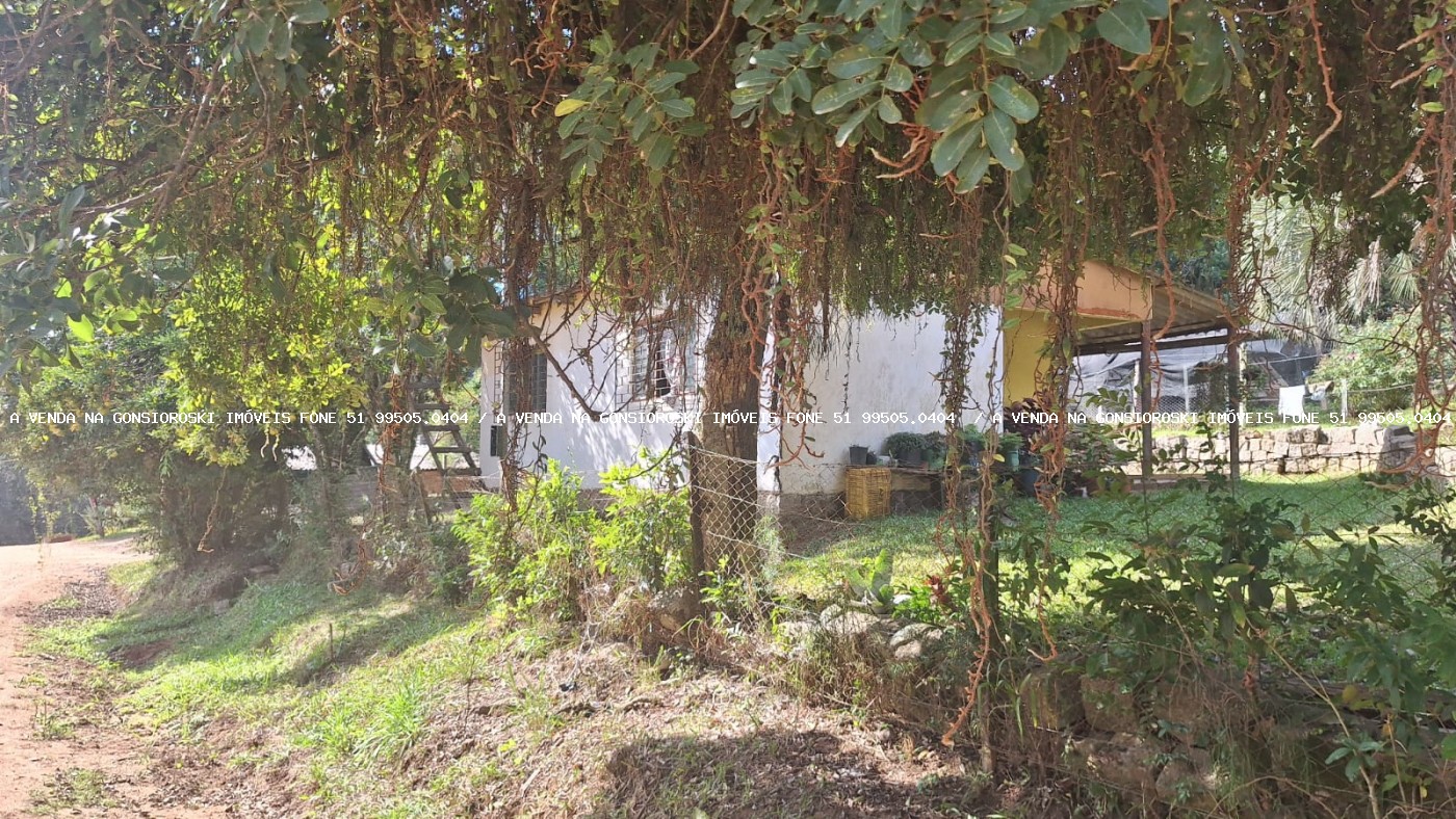 Terreno à venda, 350m² - Foto 3
