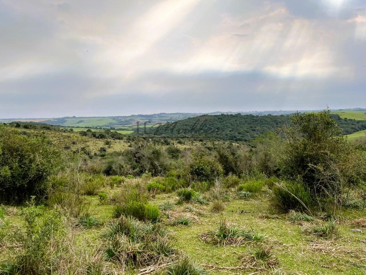 Terreno à venda, 412m² - Foto 5