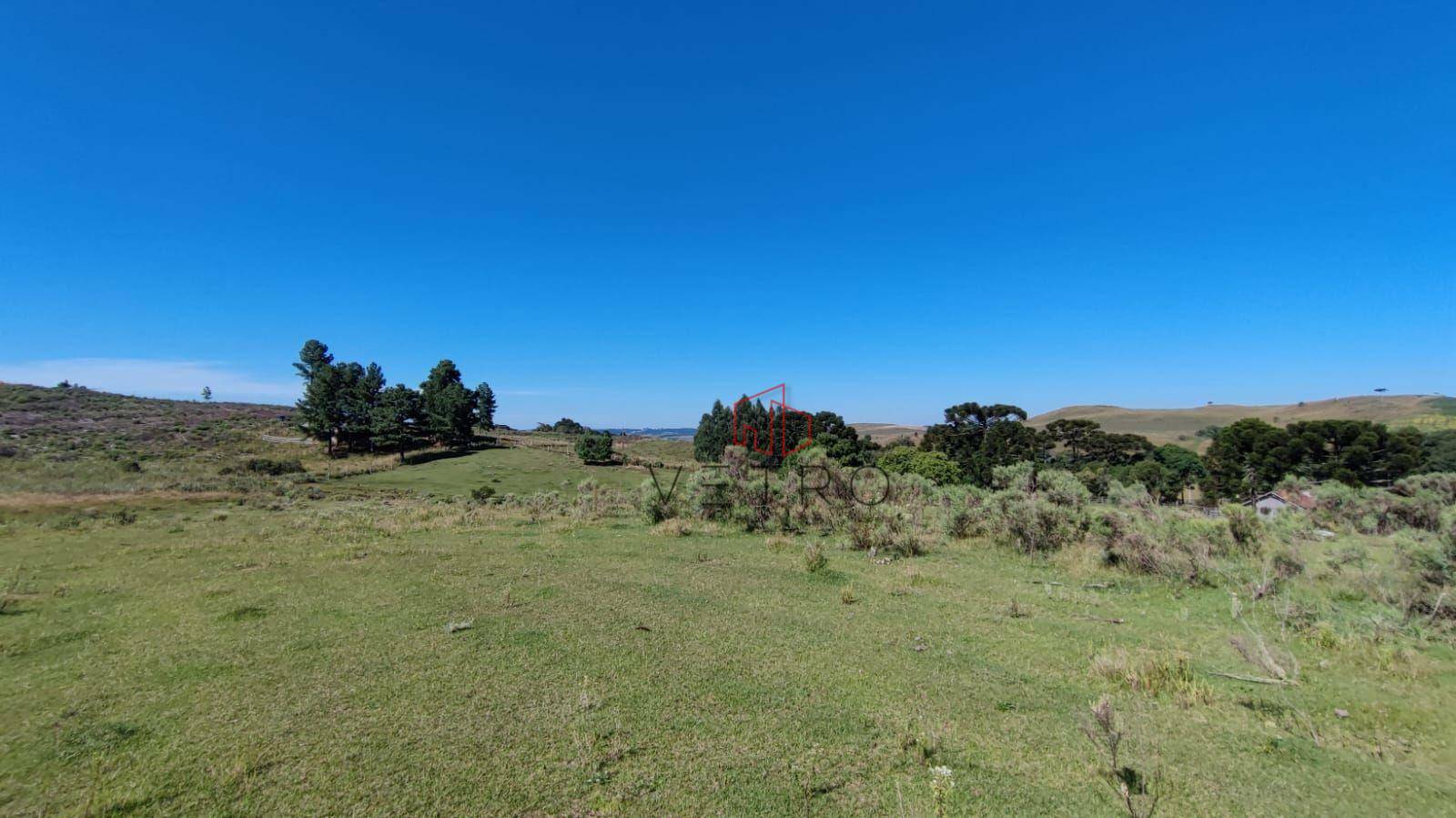 Sítio à venda com 3 quartos, 37000M2 - Foto 18