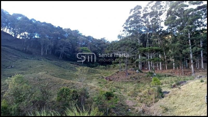 Fazenda à venda com 2 quartos, 24m² - Foto 63