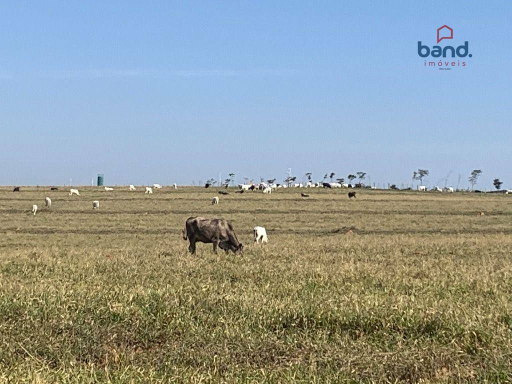 Fazenda à venda, 2265100M2 - Foto 8