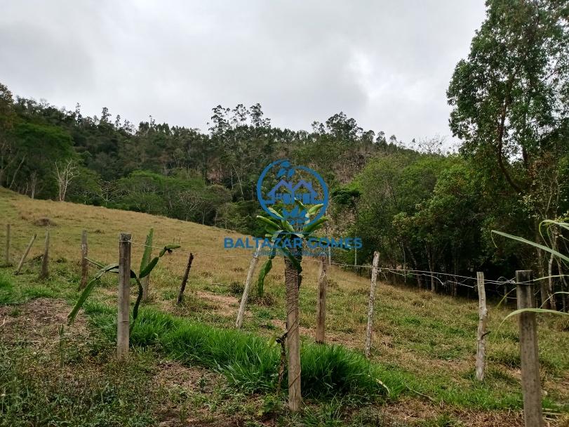 Fazenda à venda com 4 quartos, 7m² - Foto 22