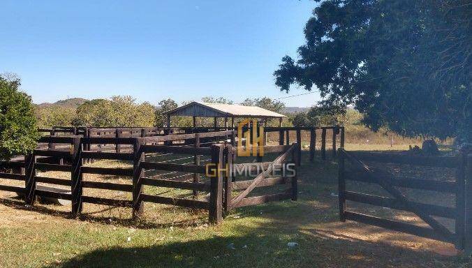 Fazenda-Sítio-Chácara, 716 hectares - Foto 4