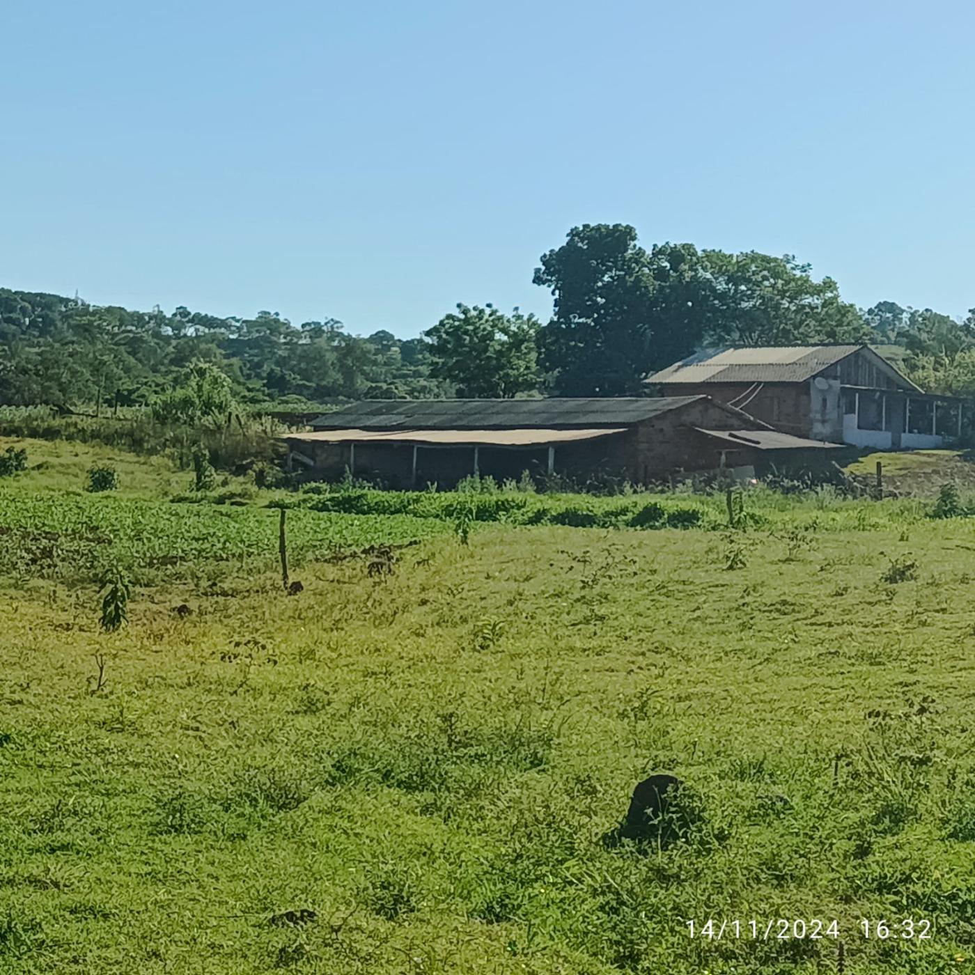 Fazenda à venda, 81160m² - Foto 31