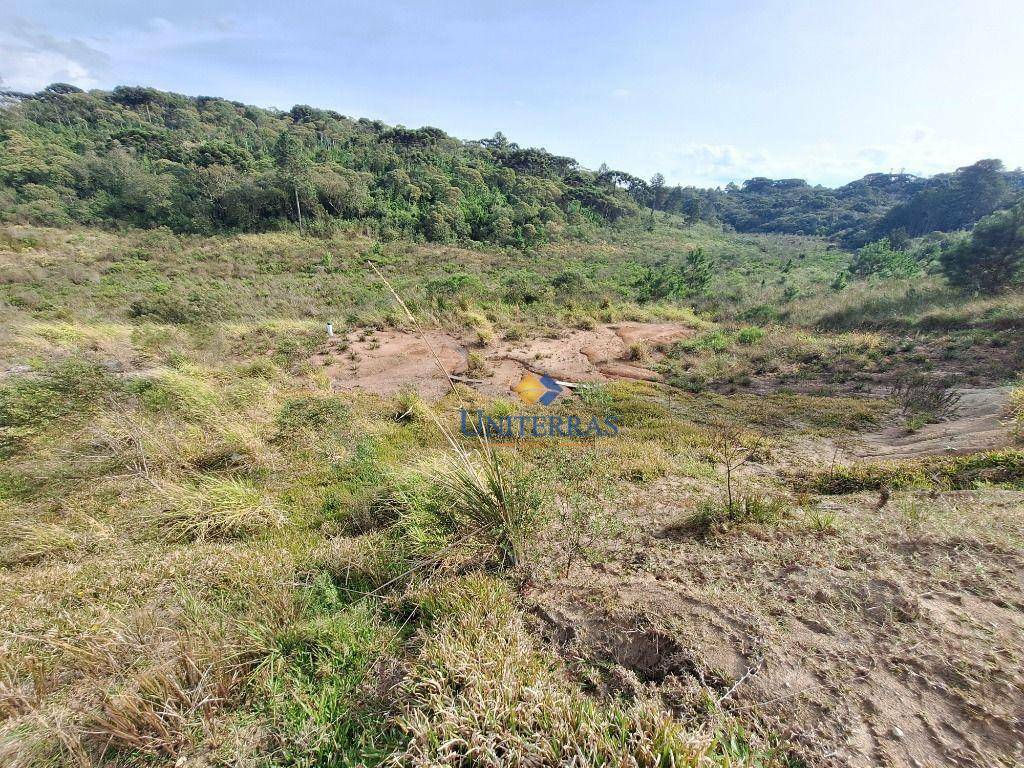 Terreno à venda, 575M2 - Foto 8