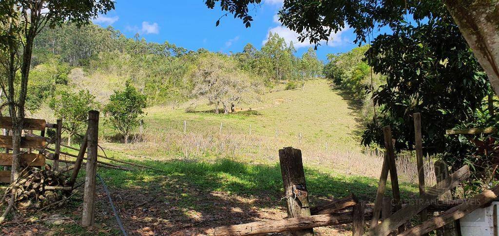 Sítio à venda com 2 quartos, 40000m² - Foto 71