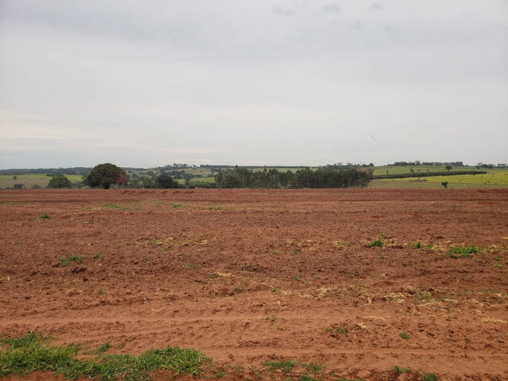 Fazenda-Sítio-Chácara, 53 hectares - Foto 3