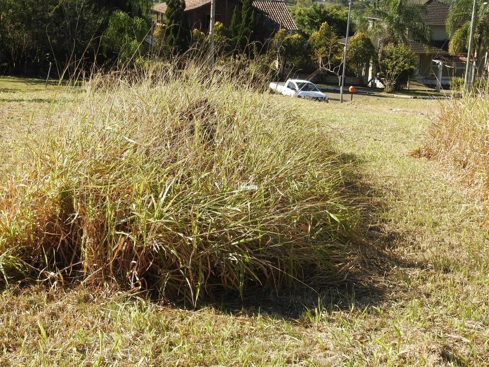 Terreno à venda, 1600m² - Foto 6