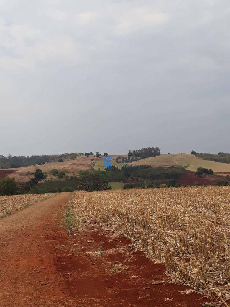 Chácara à venda com 3 quartos, 72600M2 - Foto 20