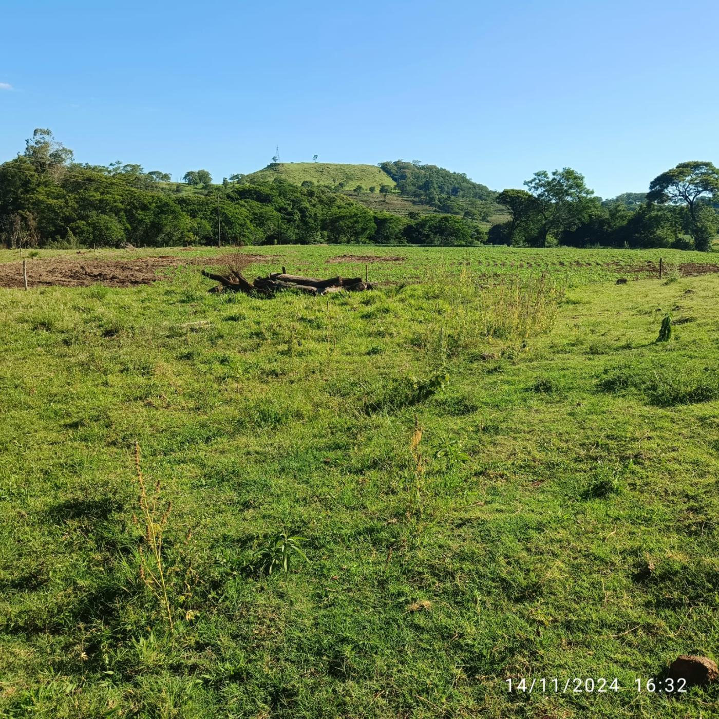 Fazenda à venda, 81160m² - Foto 29