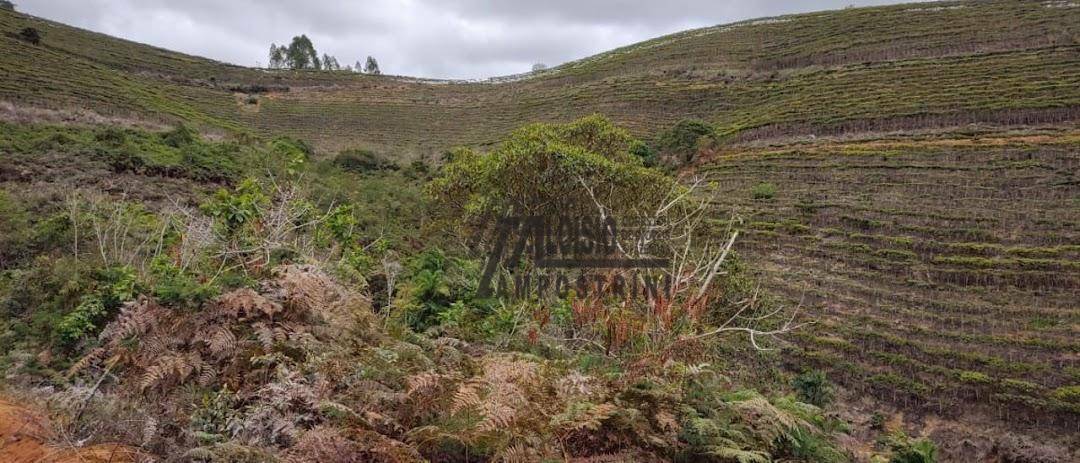 Fazenda à venda, 1452000M2 - Foto 37