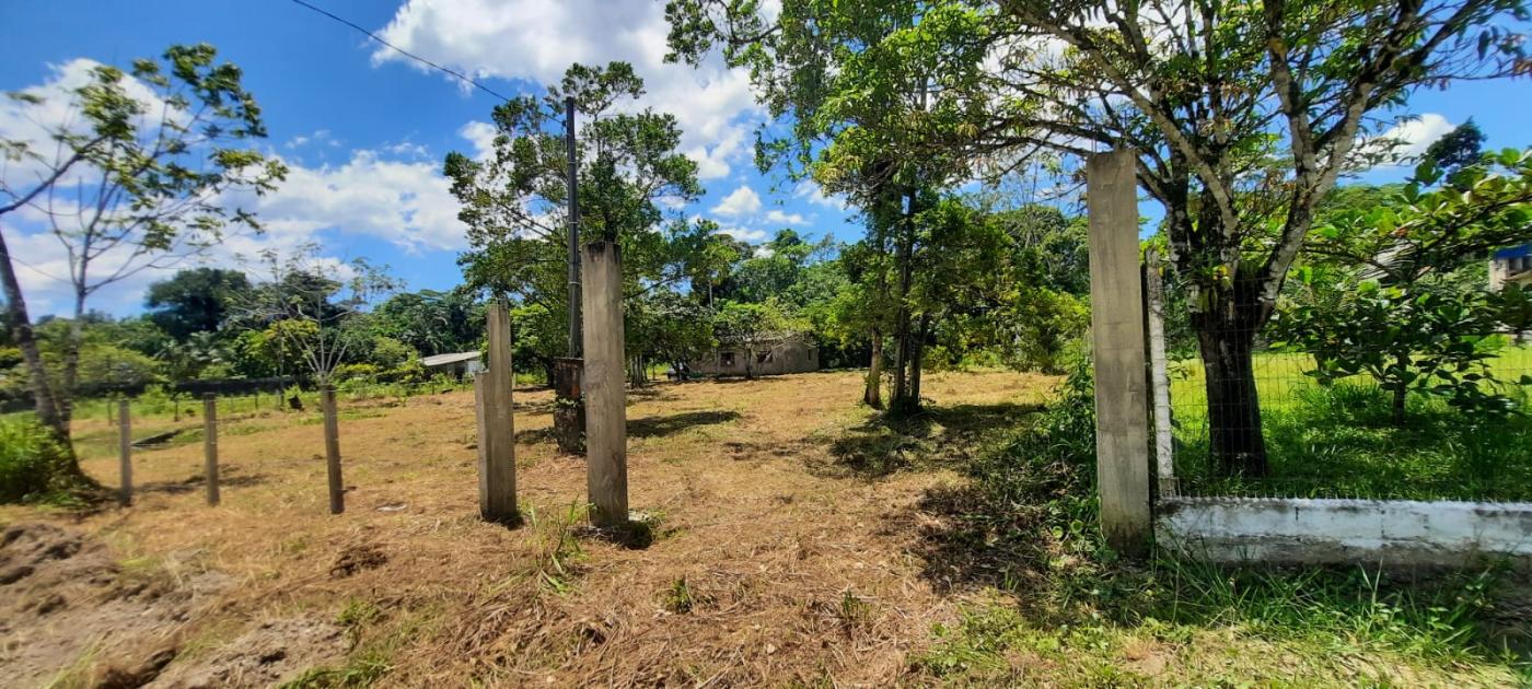 Fazenda à venda com 2 quartos, 3500m² - Foto 18