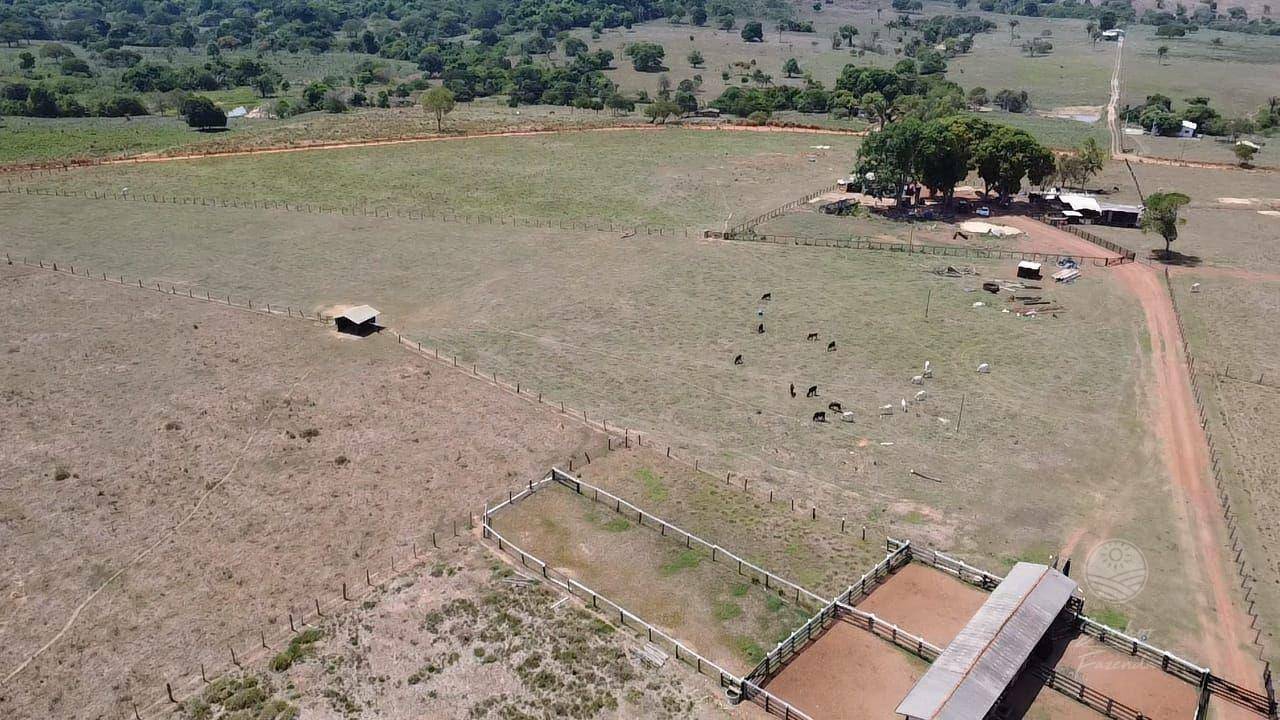 Fazenda à venda, 2135000M2 - Foto 11