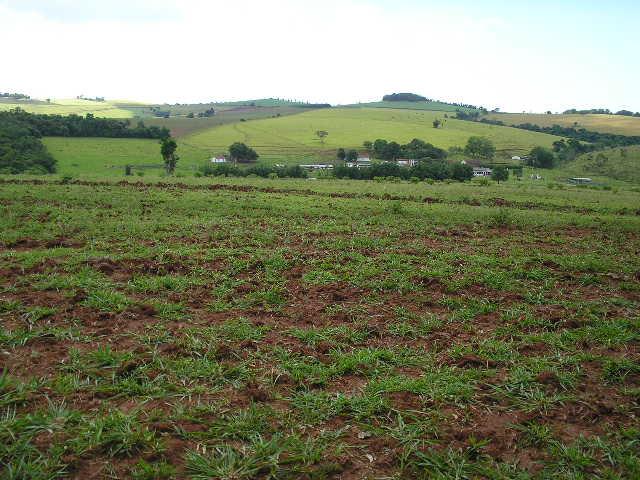 Fazenda-Sítio-Chácara, 260 hectares - Foto 4