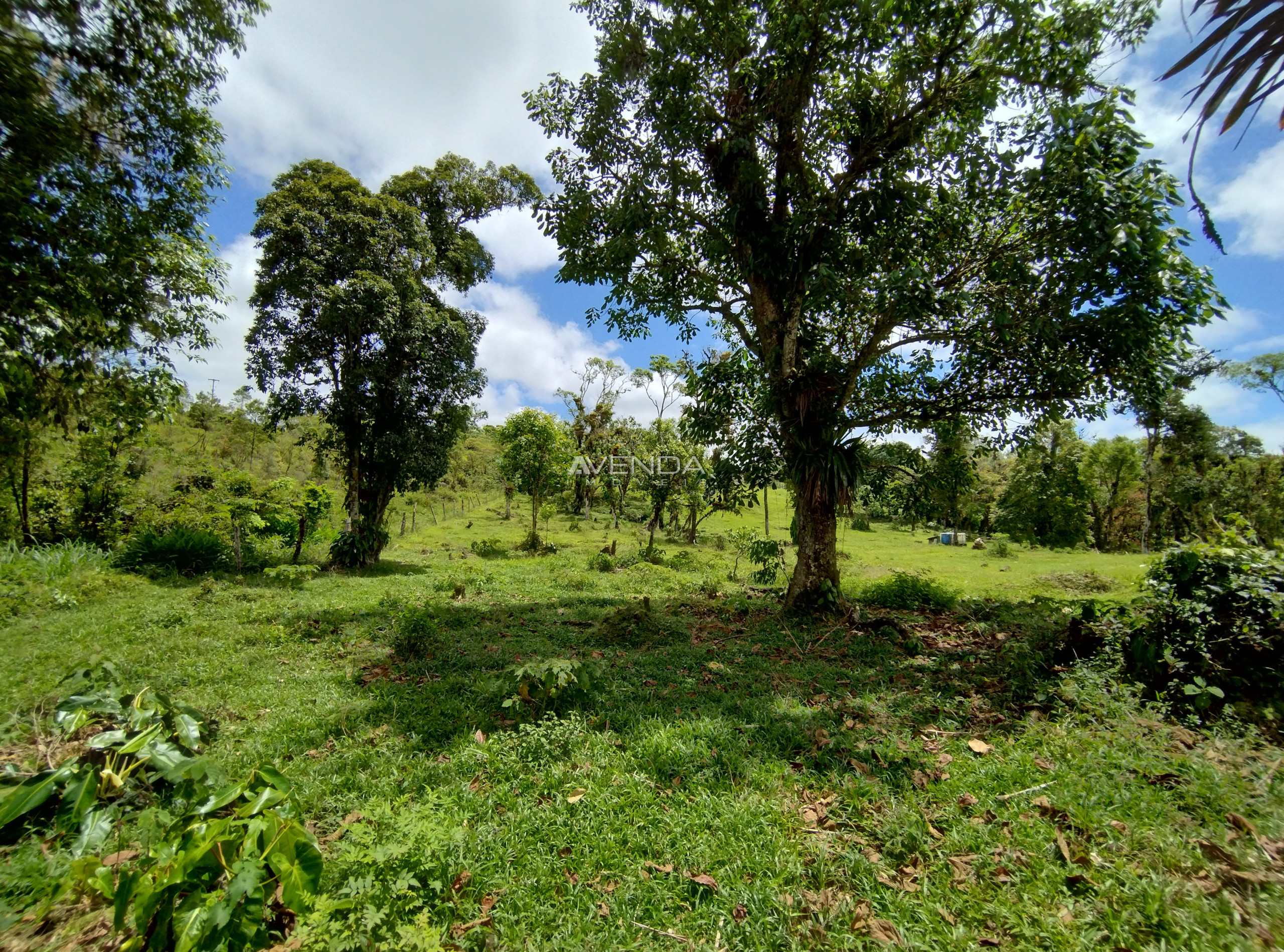 Fazenda à venda com 6 quartos, 208036m² - Foto 8