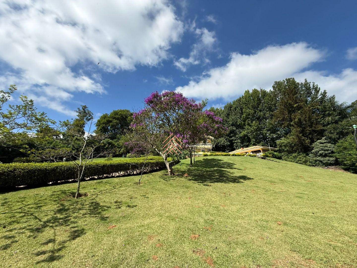 Chácara, 8 quartos, 5000 m² - Foto 3