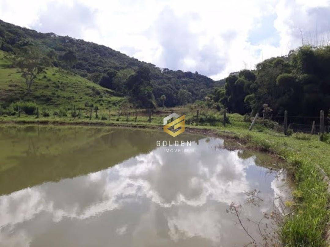 Sítio à venda com 5 quartos, 300m² - Foto 14