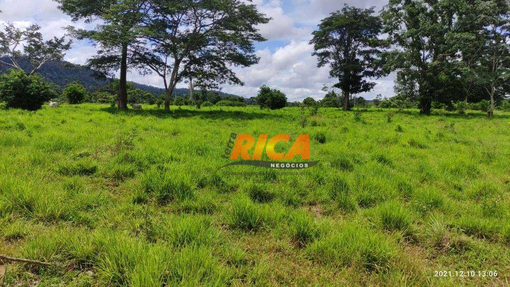 Fazenda à venda com 1 quarto, 6530000M2 - Foto 5