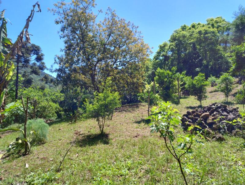 Sítio, 1 quarto, 7 hectares - Foto 4