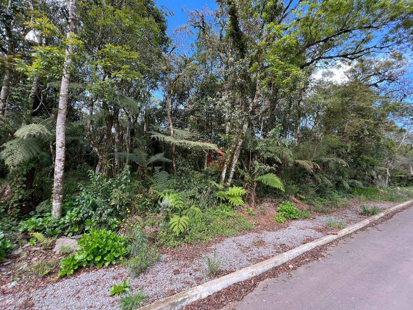 Terreno à venda, 1182M2 - Foto 4