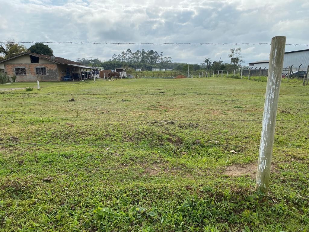 Depósito-Galpão - Foto 4