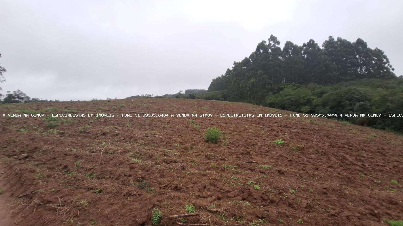 Fazenda à venda com 2 quartos, 141000m² - Foto 16