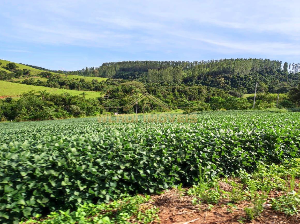 Fazenda à venda, 300m² - Foto 5