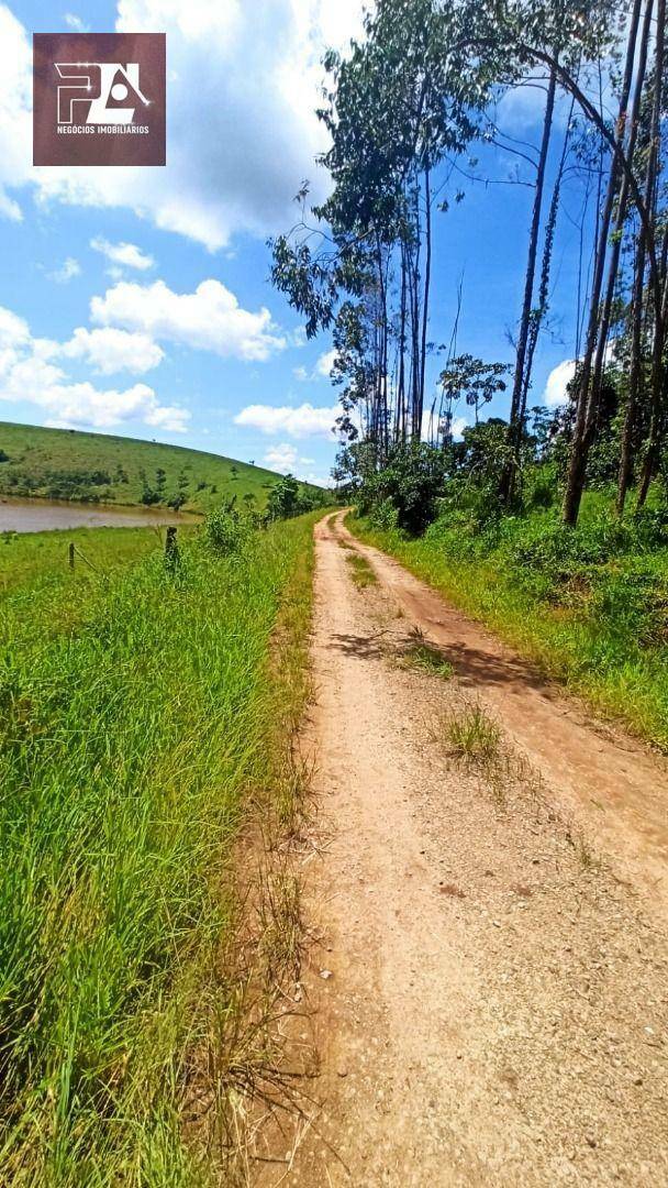 Terreno à venda, 24200M2 - Foto 5