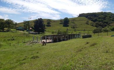 Fazenda à venda com 2 quartos, 145000m² - Foto 17