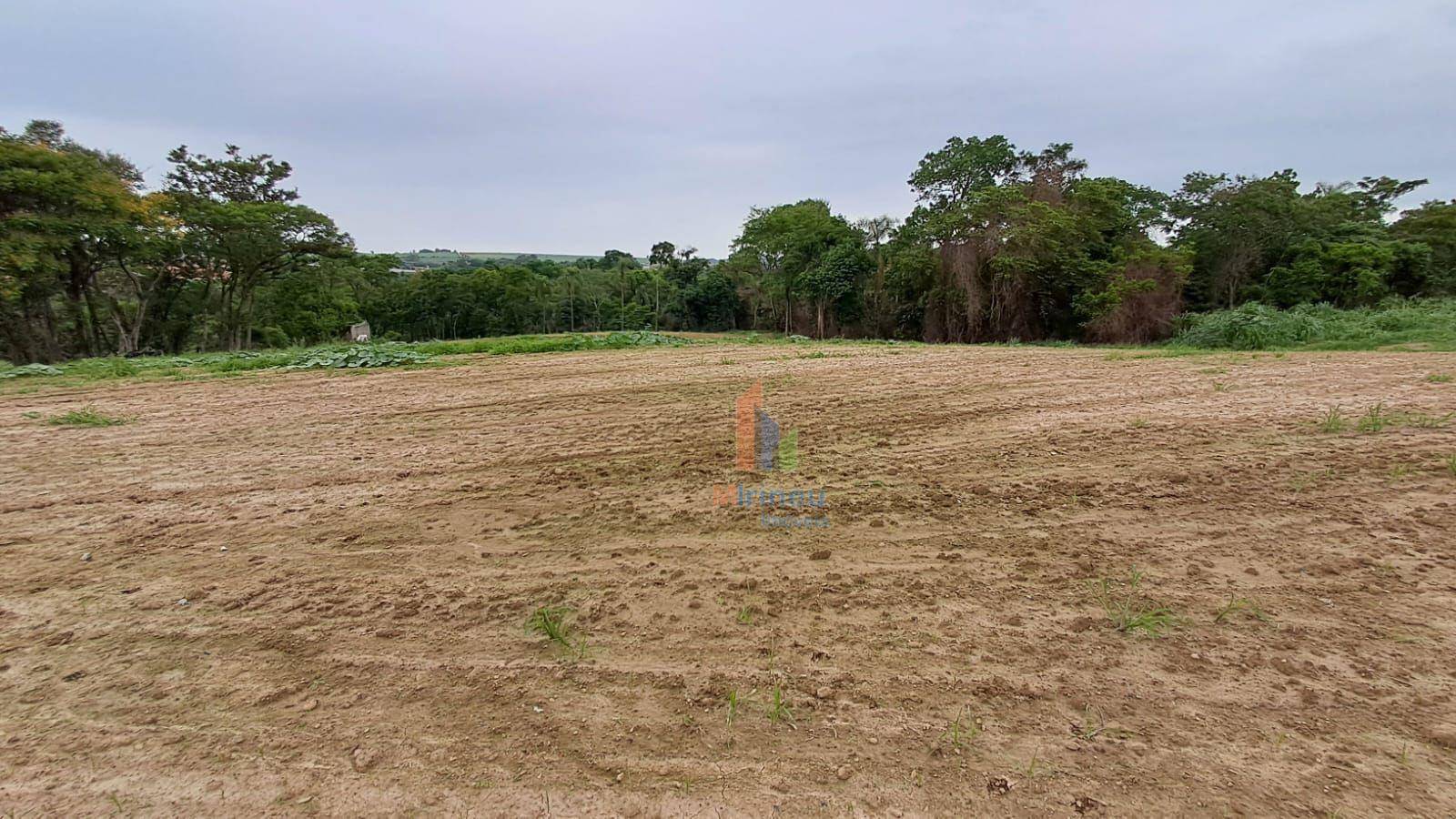 Terreno, 5 hectares - Foto 3