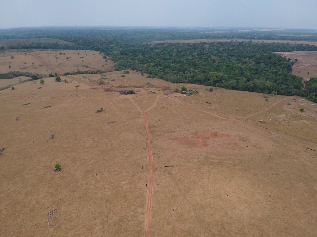 Fazenda à venda, 41140000M2 - Foto 7