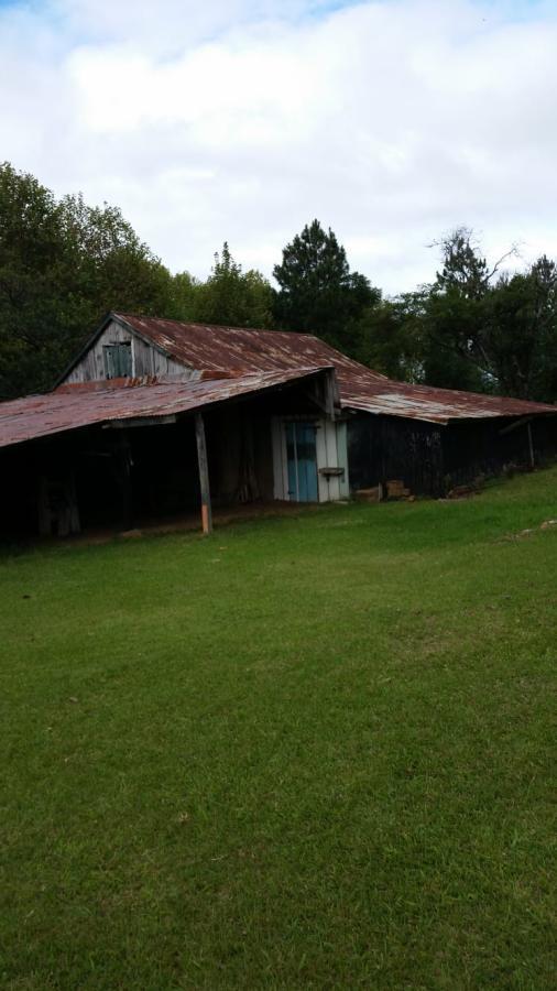 Fazenda à venda com 2 quartos, 3m² - Foto 7