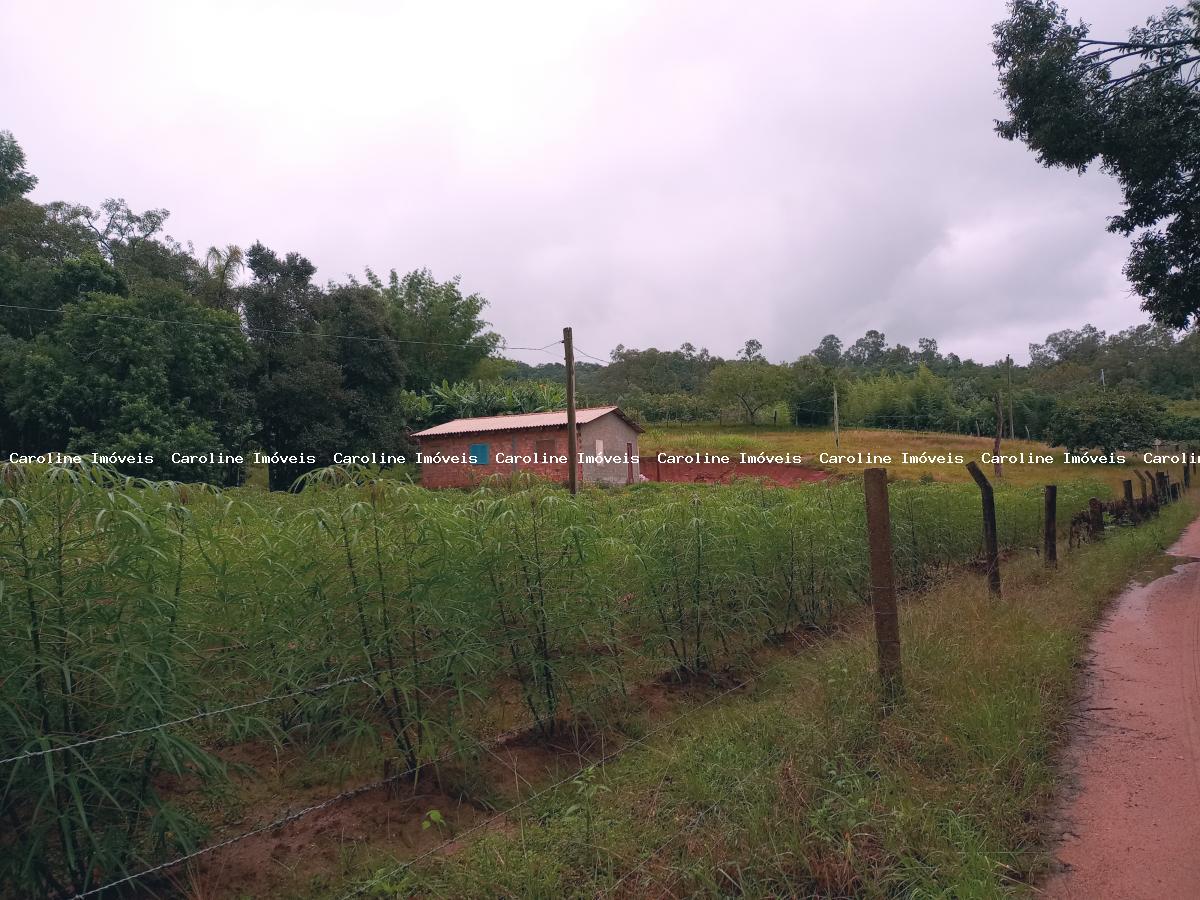 Fazenda à venda com 2 quartos, 13500m² - Foto 7