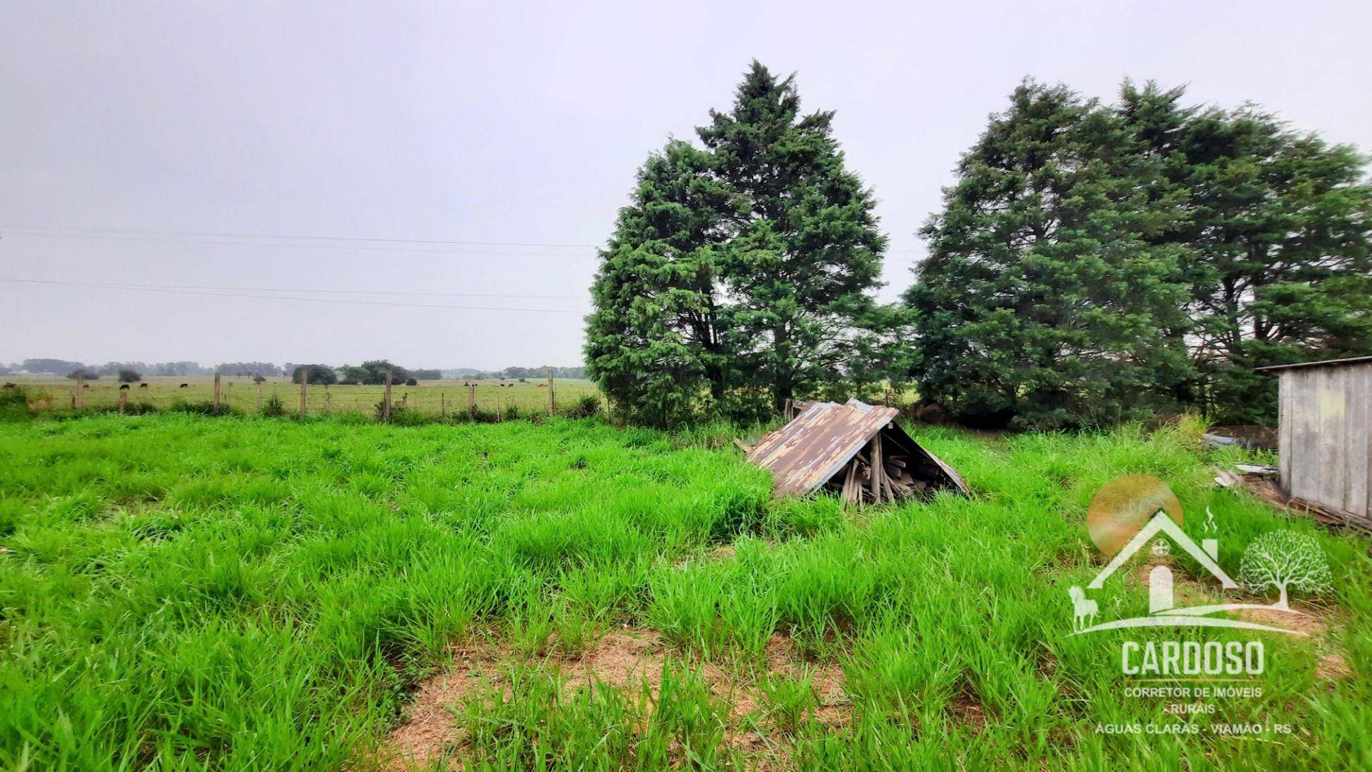 Sítio à venda, 3000M2 - Foto 2