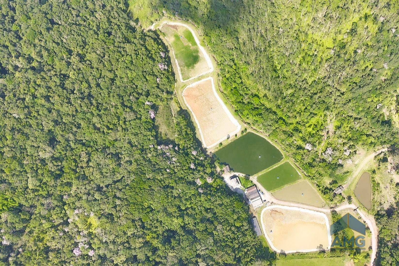 Sítio, 3 quartos, 43 hectares - Foto 2