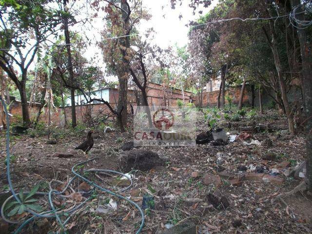 Terreno à venda, 800M2 - Foto 3