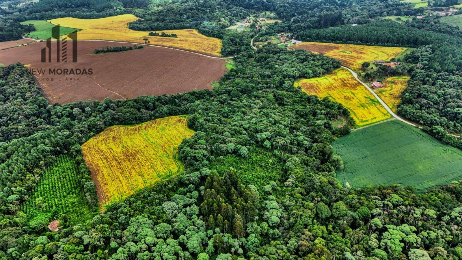 Terreno à venda, 88M2 - Foto 4