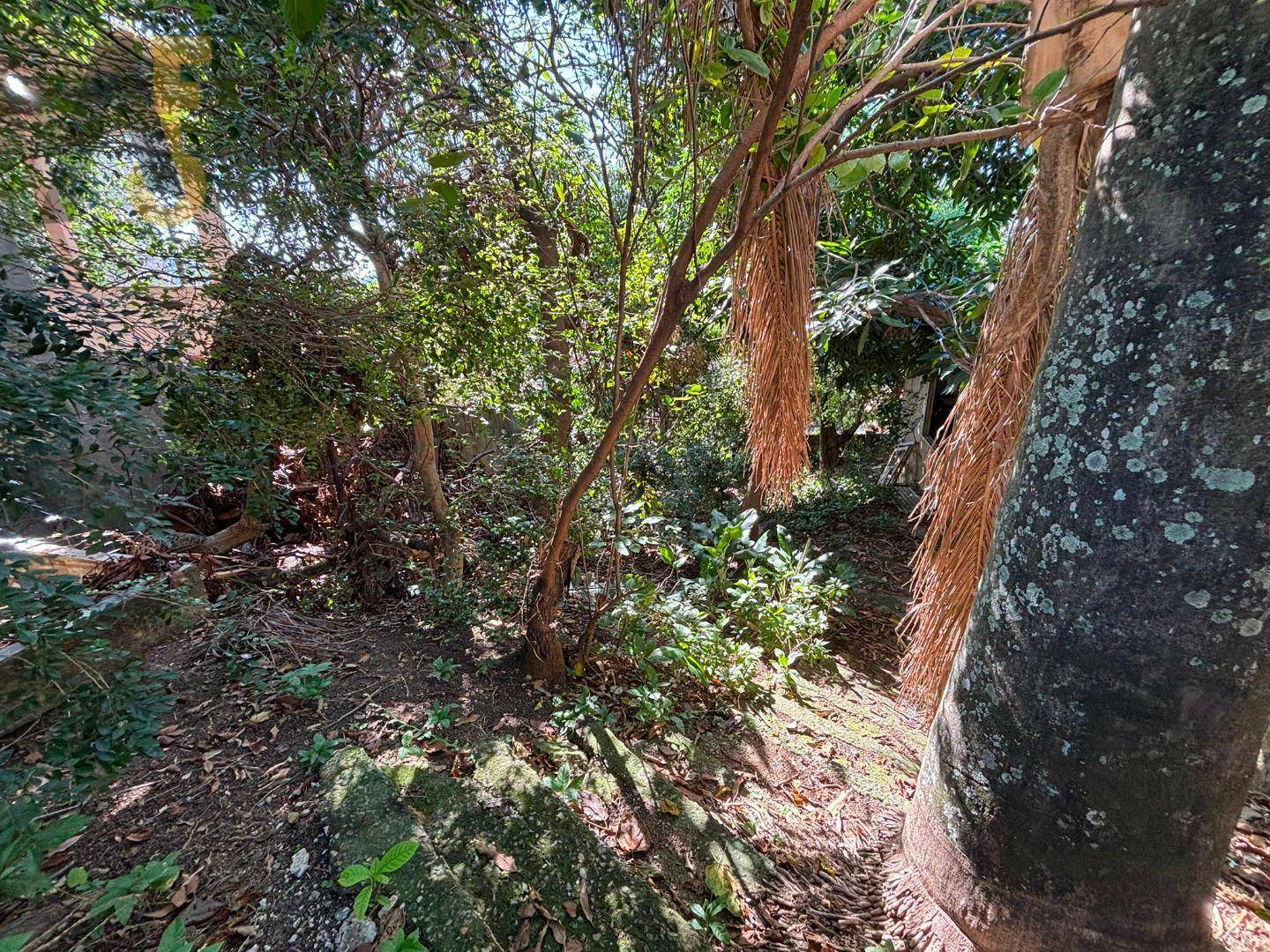Terreno à venda, 375M2 - Foto 4