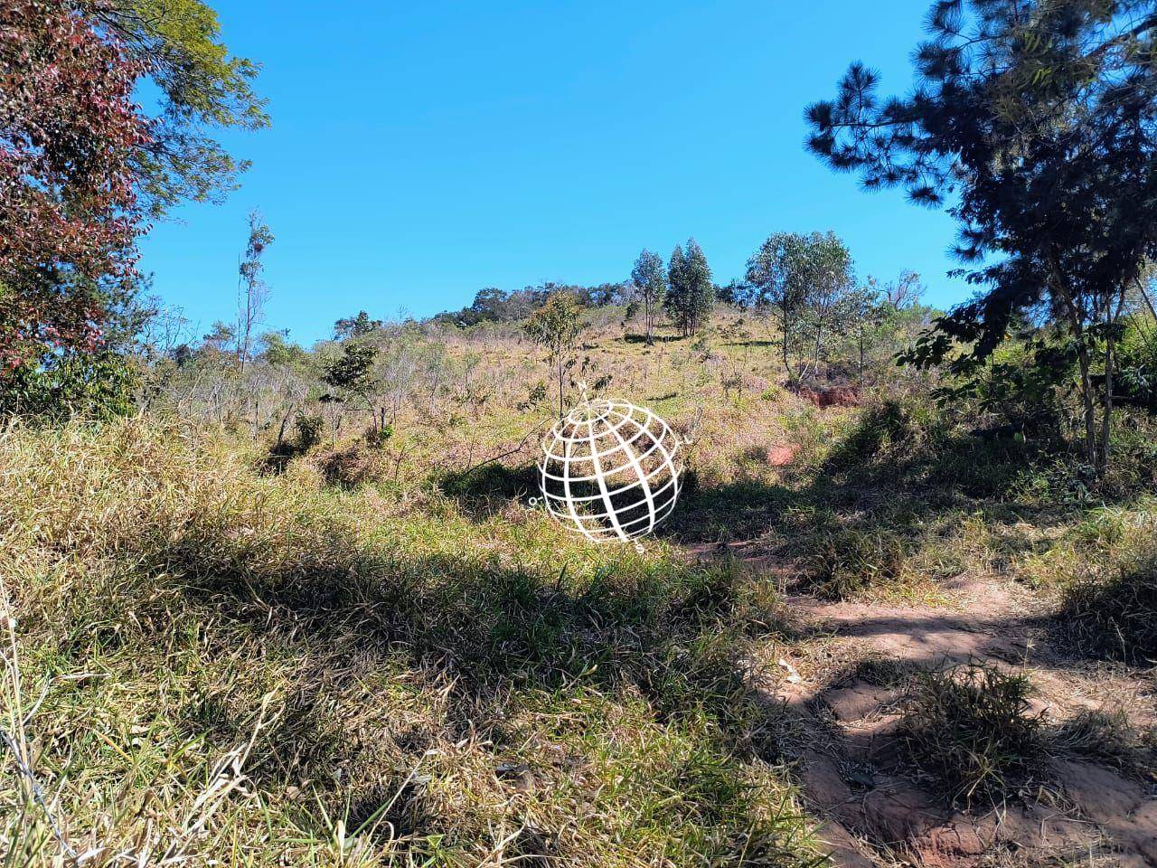 Terreno, 4 hectares - Foto 2