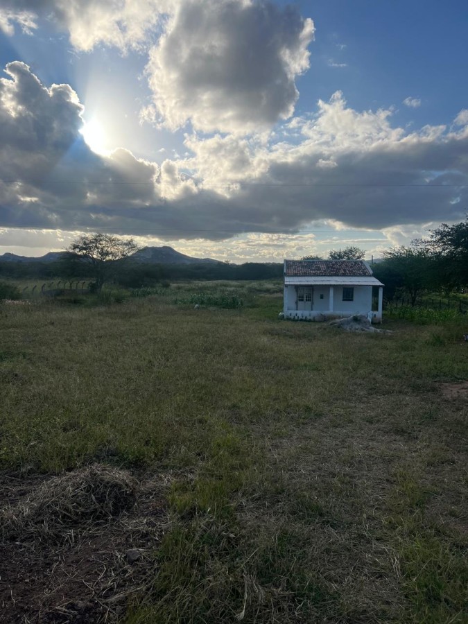 Sítio à venda com 2 quartos, 5000m² - Foto 5