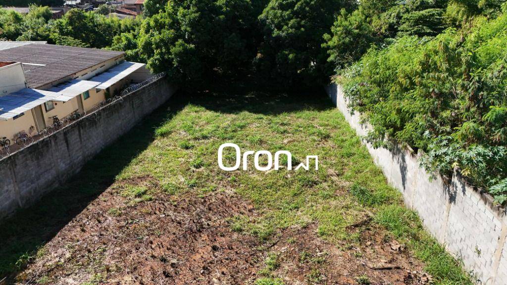 Terreno, 1000 m² - Foto 3